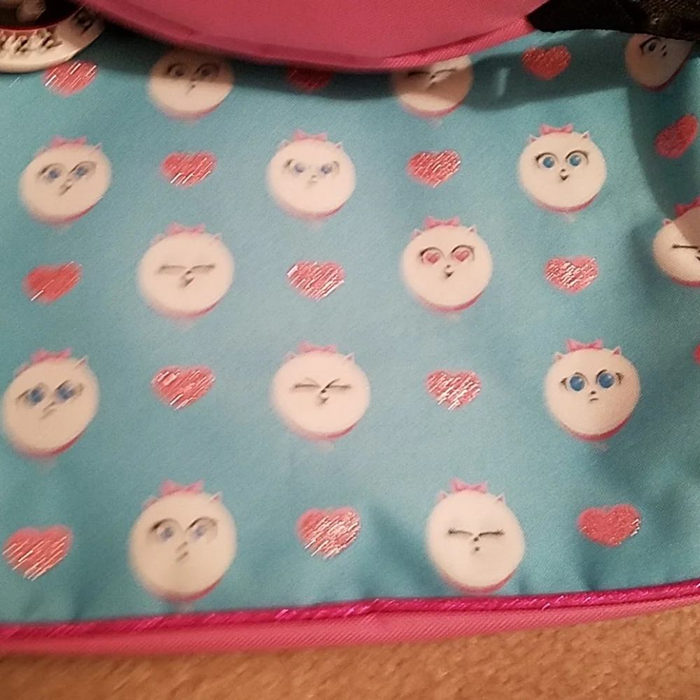 3 for $30. Backpack w/ lunch bag- secret life of pets 2
